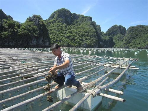 OCOP - mô hình tiêu biểu xây dựng nông thôn mới