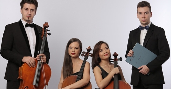 Thưởng thức 'Trống cơm' qua tiếng đàn cello