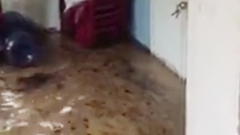 Dầu nhớt xối qua nhà dân