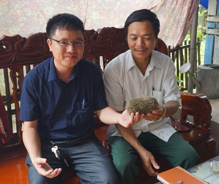 Nghệ An: 'Cát lợn' được trả 3 tỷ đồng... ế khách