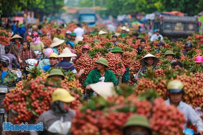 Nhọc nhằn Nông Nghiệp - Nông Thôn và Nông Dân
