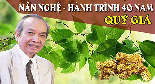 Tìm ra cây thuốc giúp hạ mỡ máu, mỡ gan, huyết áp