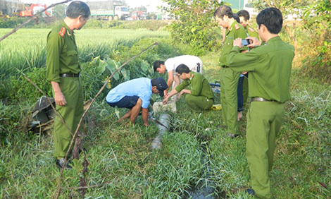 Dòng nước đen hôi thối chảy ra từ công ty gạch men