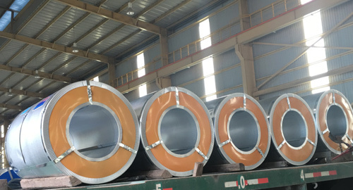 2016 - năm ‘vượt bão’ thành công của Tôn Phương Nam