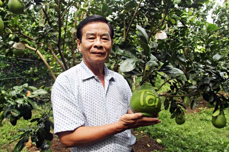 Đại gia chi bạc triệu mua bằng được loại quả này chưng Tết