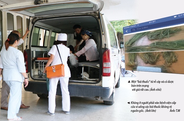 “Thuốc” sinh con trai: Chuyên gia nói gì?