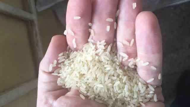Sự thật về 'gạo nhựa' nghi từ Trung Quốc