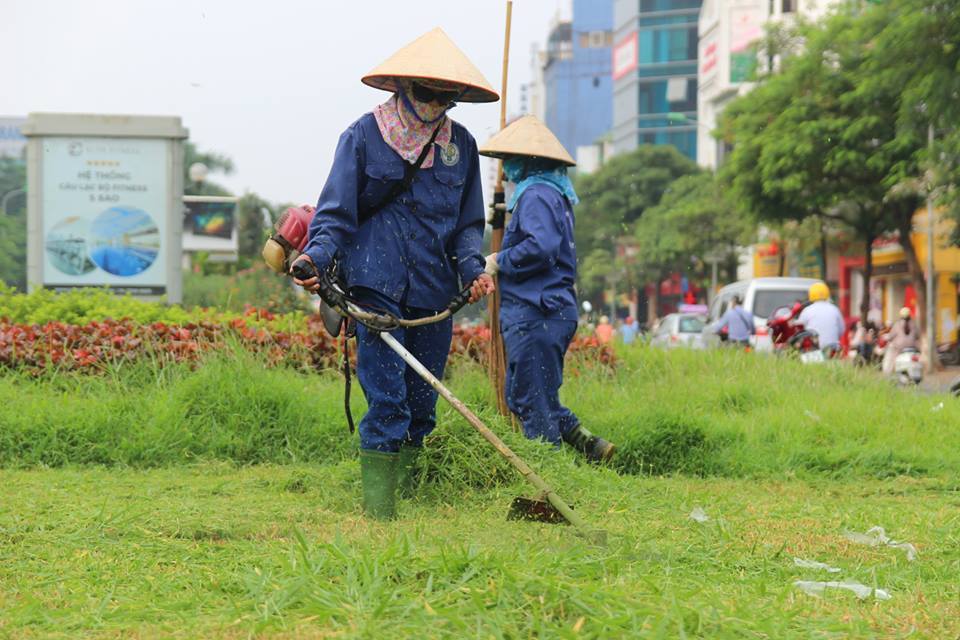 Hà Nội ấn định số lần cắt cỏ mỗi năm