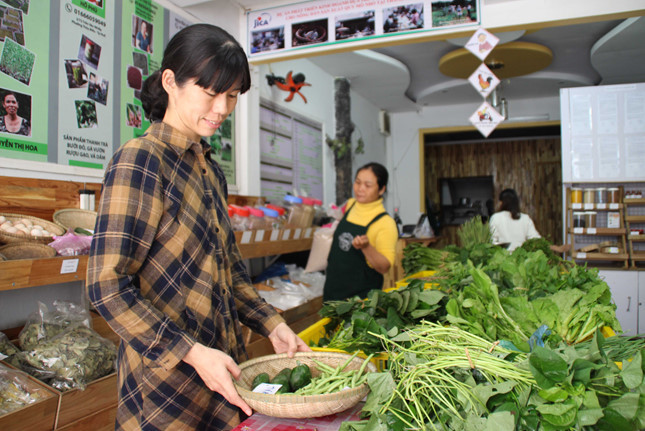 Cô gái Nhật đến Huế bán rau sạch