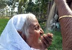 Cụ bà Ấn Độ 78 tuổi ăn 2kg cát mỗi ngày để khỏe mạnh