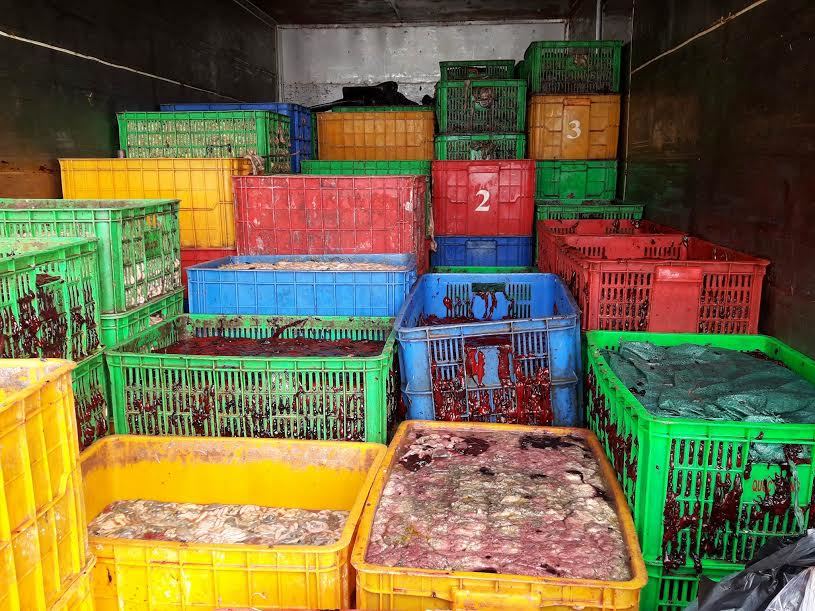 Bắt gần 5 tấn nội tạng thối đang đổ xuống sông Đồng Nai