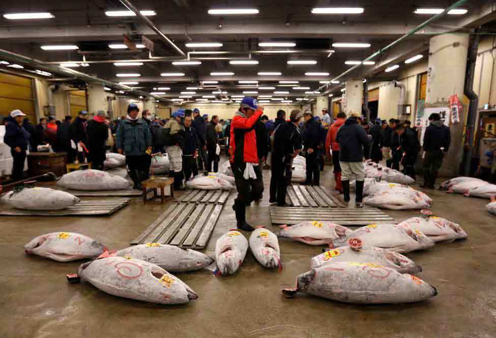 Chùm ảnh phiên đấu giá cá ngừ đầu năm ở Nhật