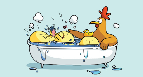 3 điều ước năm Đinh Dậu của gia đình Gà