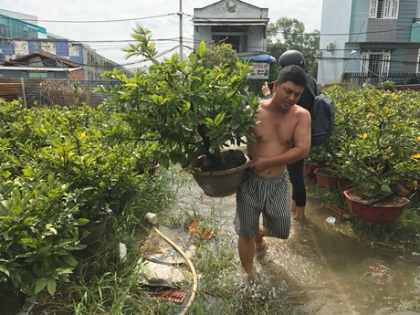 Dân Sài Gòn lại “khóc ròng” vì cống ngăn triều gặp sự cố