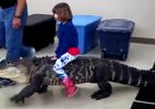 Bé gái cưỡi cá sấu 'khủng' khiến người xem lạnh gáy