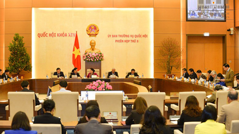 'Mức bồi thường cho ông Nén chênh lệch khá cao so với ông Chấn'