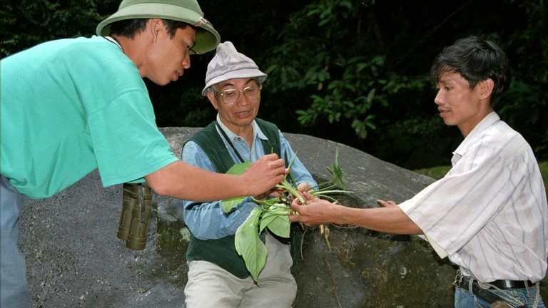 Báo Mỹ viết về Võ Qúy,