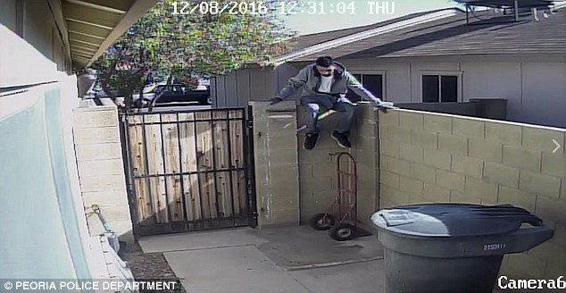 Nhà có chó dữ, trộm vẫn vô tư khuân đồ