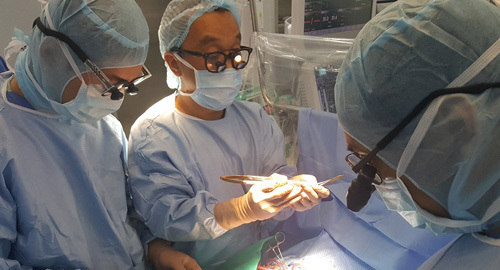 Cứu sống bệnh nhi mắc nhiều dị tật tim bẩm sinh nặng