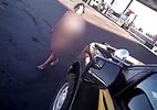 10 clip 'nóng': Người phụ nữ khoả thân cướp ô tô cảnh sát