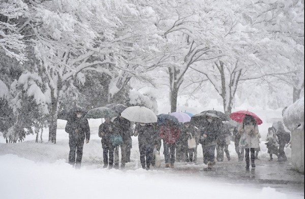 Thí sinh Nhật Bản đi thi đại học trong mưa tuyết