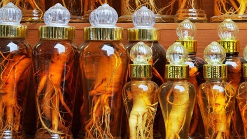 Đắt như đá quý, đại gia lùng mua sâm Mỹ tẩm bổ