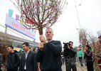 Đại sứ Mỹ hân hoan vác đào ở chợ hoa Hà Nội