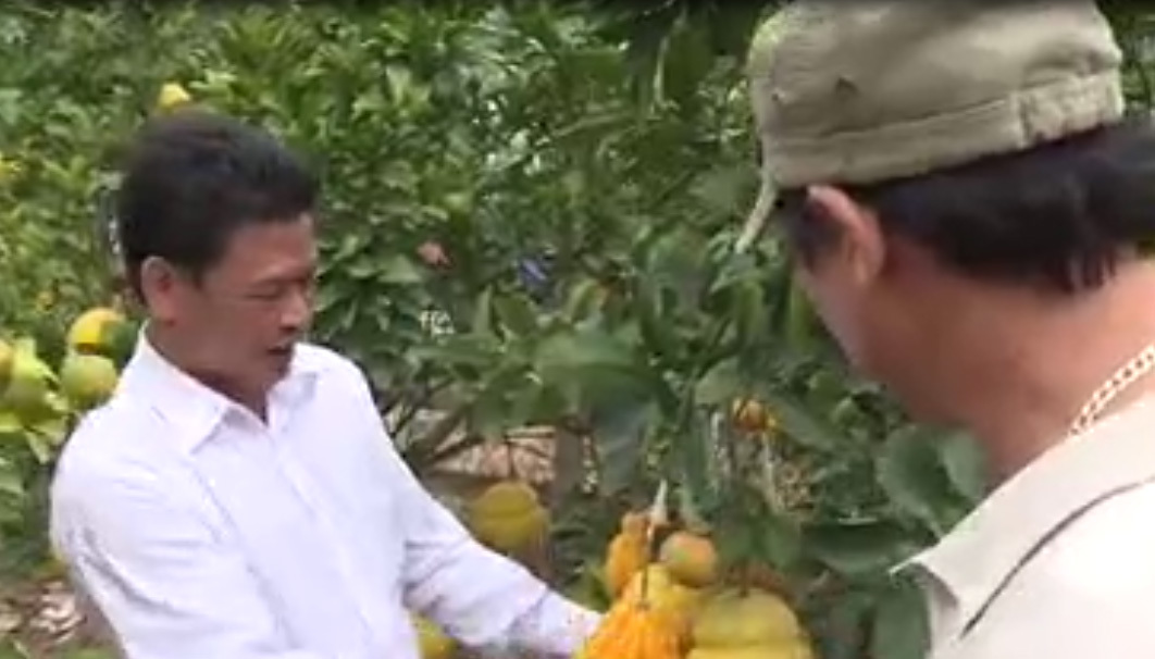 Gặp “phù thuỷ