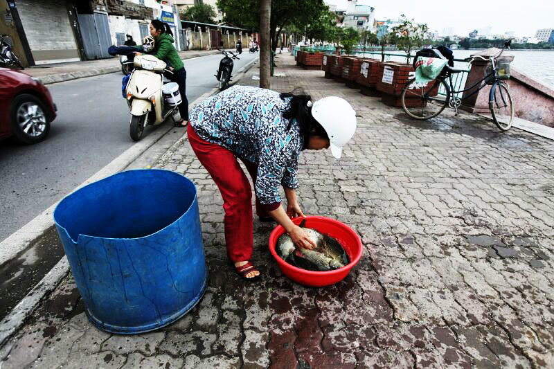 Rửa khoang máy ô tô và những điều cần phải biết