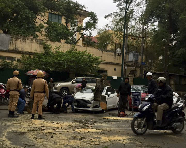 Hà Nội: Cây phượng gãy đổ đè ô tô trên phố