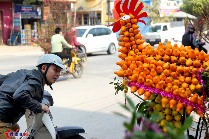Dân mê cây ngất ngây với chậu cảnh gà làm từ cà độc dược
