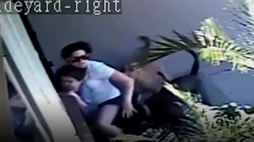 10 clip nóng nhất cộng đồng mạng năm 2016