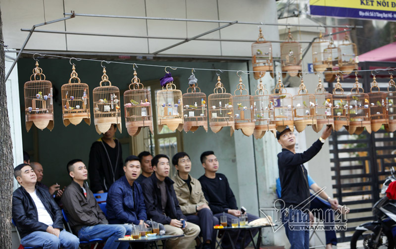 Hà Nội khác lạ trước giao thừa