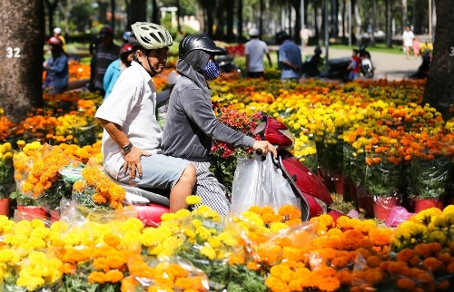 Ngày cuối năm, người Sài Gòn đổ xô đi mua hoa giảm giá