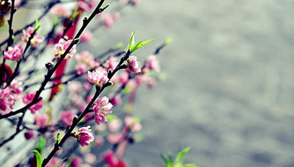 Bài khấn hoá vàng theo 'Tập văn cúng gia tiên'