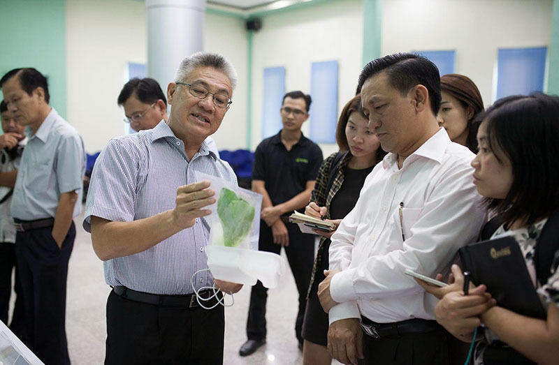 Giao cơ ngơi triệu đô cho vợ, tiến sĩ khởi nghiệp khi ngoài 60