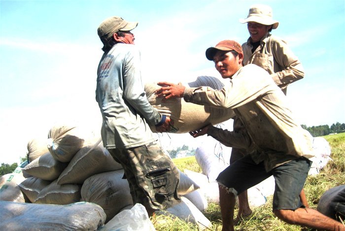 Năm ngoái, Việt Nam nhập 400.000 tấn gạo từ Campuchia