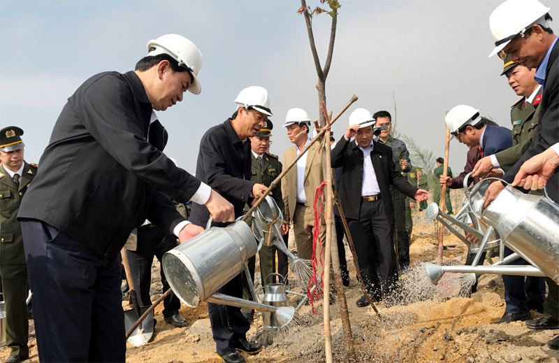 Chủ tịch nước phát động ‘Tết trồng cây’