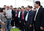 Thủ tướng: Đã có lời giải cho bài toán nông nghiệp Việt Nam