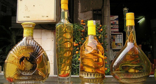 Công dân Nga thoát án hình sự vì mua phải rượu giả Việt Nam