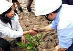 Bộ trưởng lội bùn trồng cây trong đất ngập nước