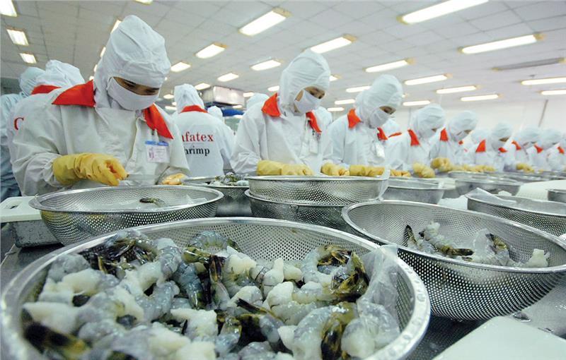 2025: Xuất khẩu tôm phải mang về cho đất nước 10 tỷ USD