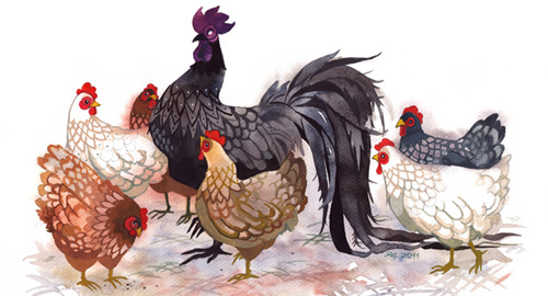 Nguyên tắc phong thủy cần lưu ý cho 12 con giáp năm Đinh Dậu