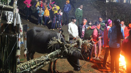 lễ hội đâm trâu