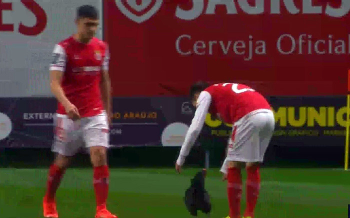 Trận đấu bị gián đoạn vì gà đột nhập vào sân