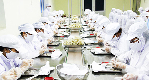 Yến sào Khánh Hòa nộp ngân sách hơn 470 tỷ đồng