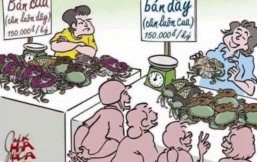 Bài học ý nghĩa về bán cua cân luôn dây – hay bán dây cân luôn cua