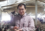 Thạc sĩ nước ngoài về quê “xúc phân gà”, kiếm tiền tỷ mỗi năm