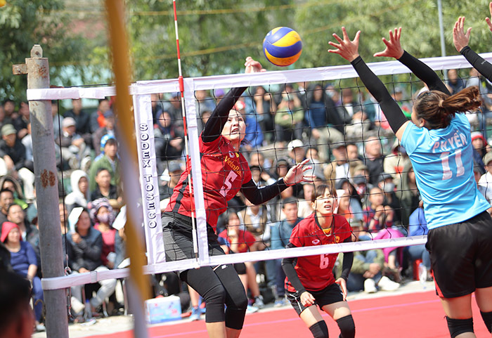 Dân bán cây cảnh làm tiền thưởng, hoa khôi bóng chuyền hốt bạc tỷ