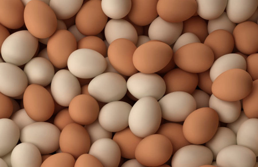 Яйца купить ставрополь. Инкубационное яйцо. Яйца куриные инкубационные. Американские яйца. Казахские яйца.